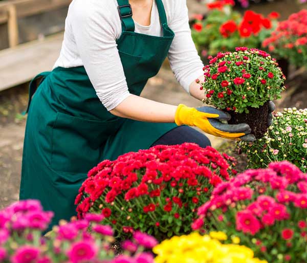 Gardening Aprons